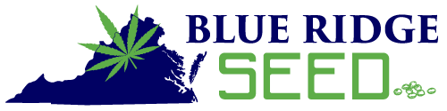 Blue Ridge Seed Cannabis Products